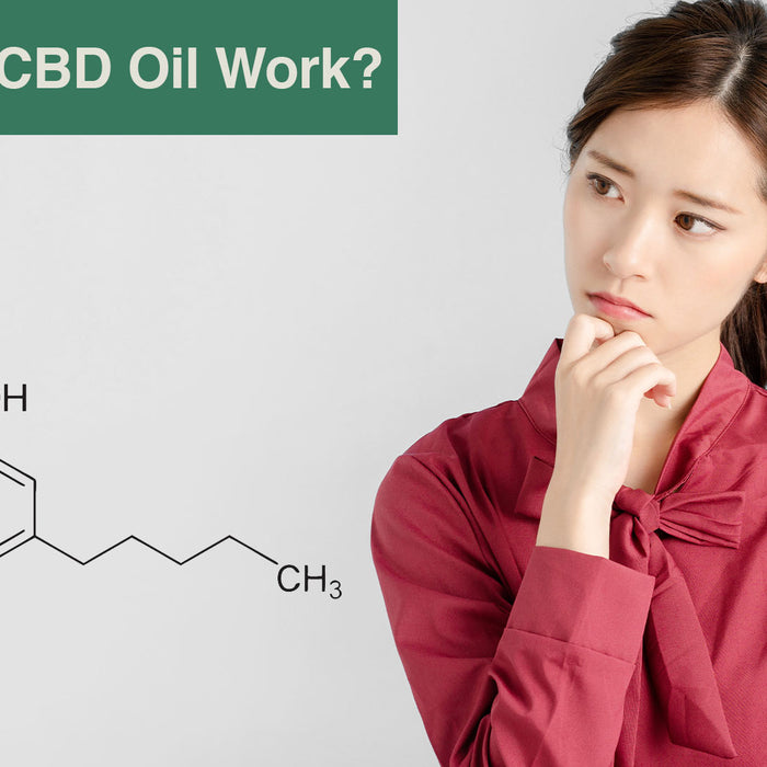 How Does CBD Oil Work?